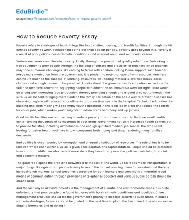 How to Reduce Poverty: Essay