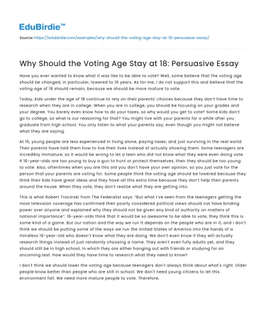 Why Should the Voting Age Stay at 18: Persuasive Essay