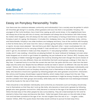 Essay on Ponyboy Personality Traits