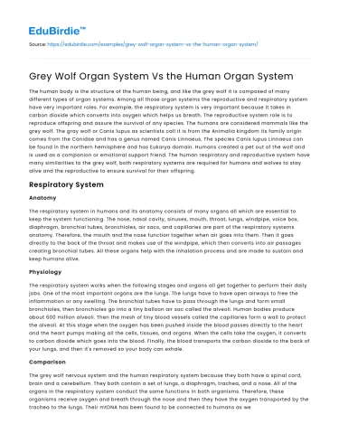 Grey Wolf Organ System Vs the Human Organ System