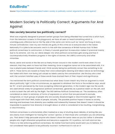 Modern Society Is Politically Correct: Arguments For And Against