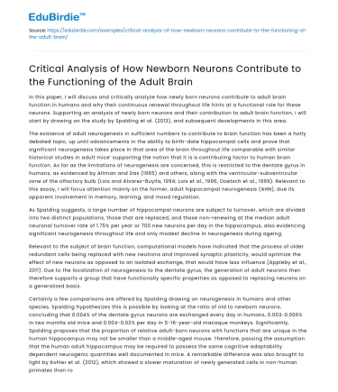 Newborn Neurons’ Role in Adult Brain Function