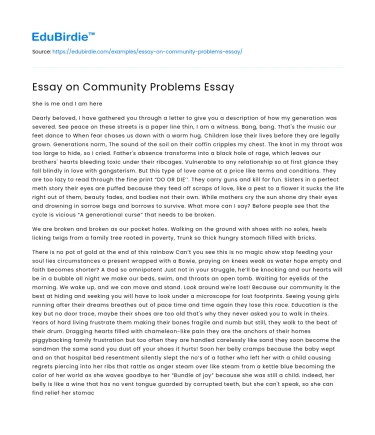 Essay on Community Problems Essay