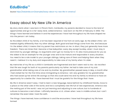 Essay about My New Life in America