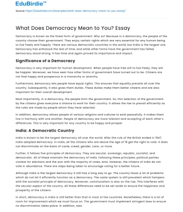 What Does Democracy Mean to You? Essay