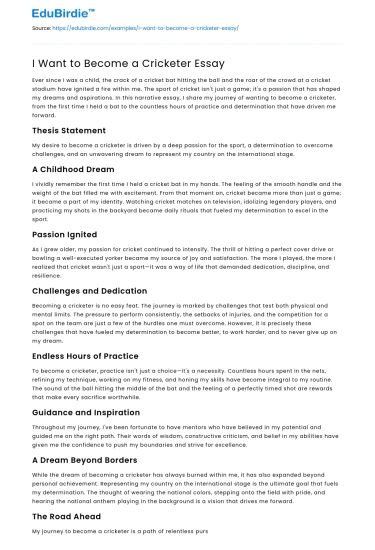 I Want to Become a Cricketer Essay