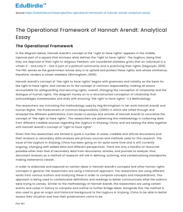 The Operational Framework of Hannah Arendt: Analytical Essay