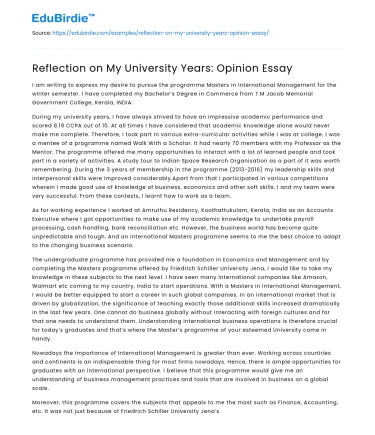 Reflection on My University Years: Opinion Essay