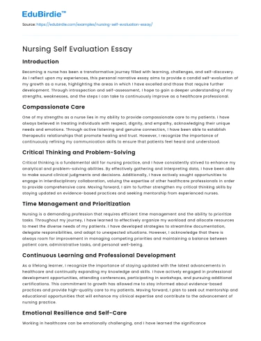 Nursing Self Evaluation Essay