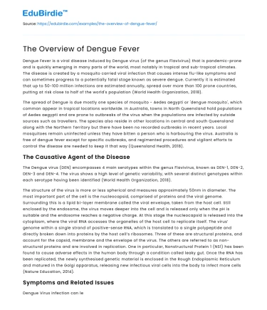 The Overview of Dengue Fever