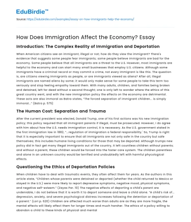 How Does Immigration Affect the Economy? Essay