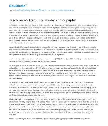 Essay on My Favourite Hobby Photography