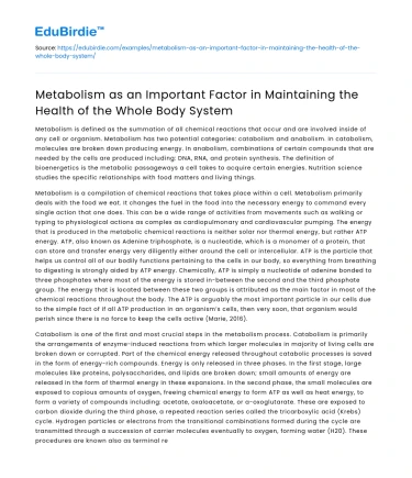 Metabolism: Key for Whole Body Health