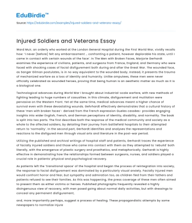 Injured Soldiers and Veterans Essay