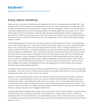 Essay about Hardship