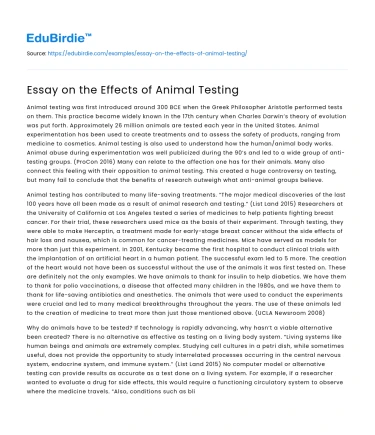 Essay on the Effects of Animal Testing