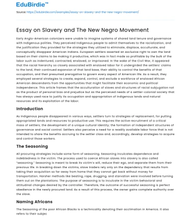 Essay on Slavery and The New Negro Movement
