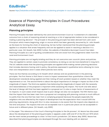 Essence of Planning Principles in Court Procedures: Analytical Essay