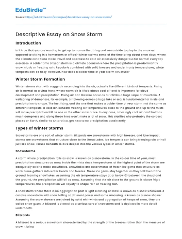 Descriptive Essay on Snow Storm