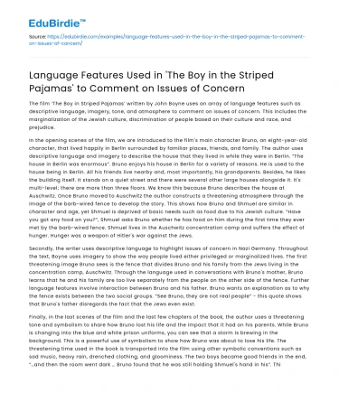 Language Features in The Boy in the Striped Pajamas on Social Issues