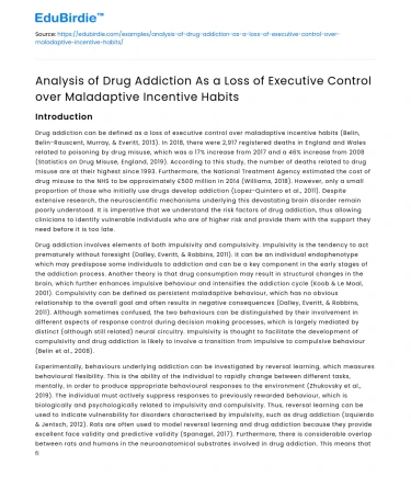 Executive Control Loss in Drug Addiction