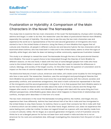 Main Character Comparison in The Namesake: Frustration vs Hybridity
