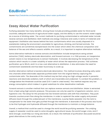Essay About Water Purification