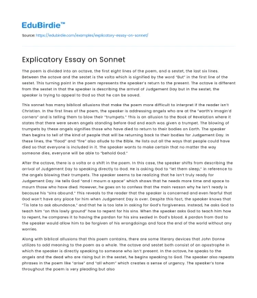 Explicatory Essay on Sonnet