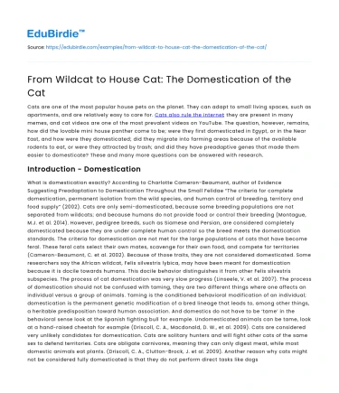 From Wildcat to House Cat: The Domestication of the Cat