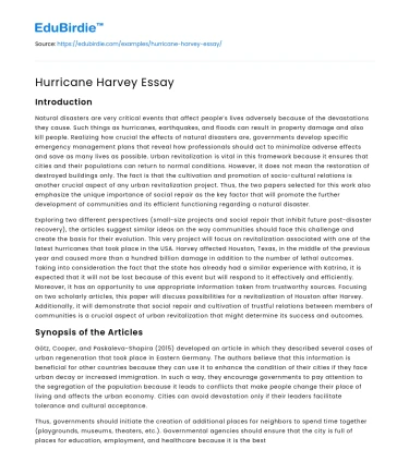 Hurricane Harvey Essay