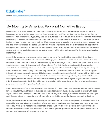 My Moving to America: Personal Narrative Essay