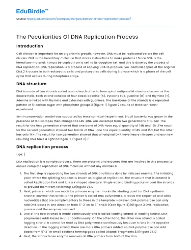 The Peculiarities Of DNA Replication Process
