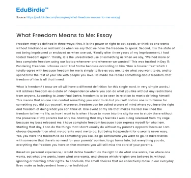 What Freedom Means to Me: Essay