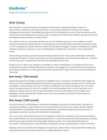 War Essays