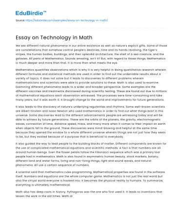 Essay on Technology in Math