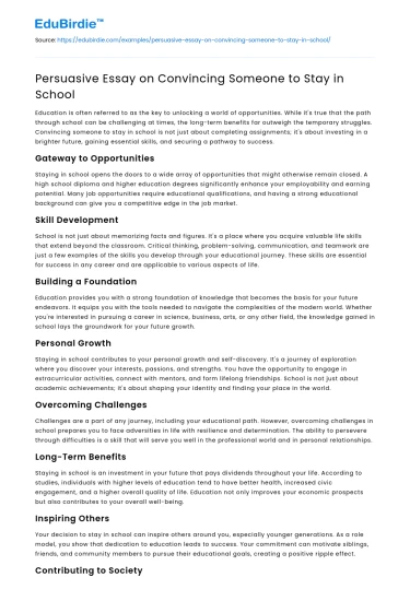 Persuasive Essay on Convincing Someone to Stay in School