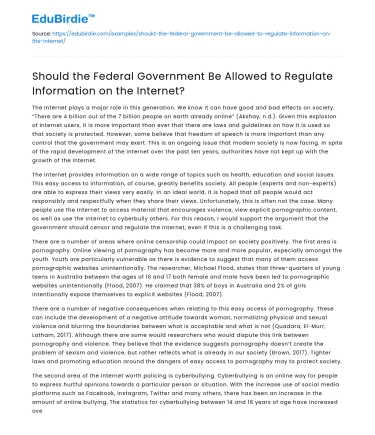 Federal Regulation of Internet Information: Yes or No?