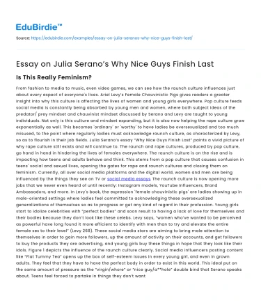 Essay on Julia Serano’s Why Nice Guys Finish Last