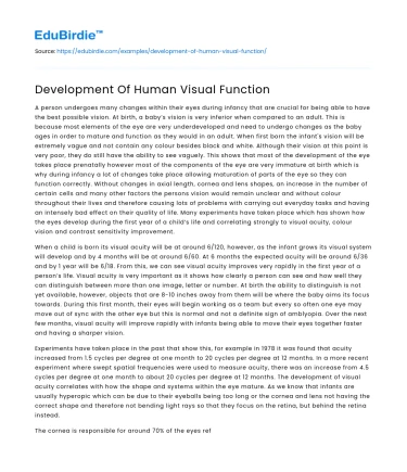 Development Of Human Visual Function