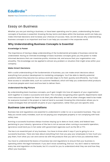Essay on Business