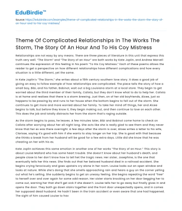 Complicated Relationships in The Storm and Other Literary Works