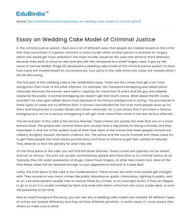 Essay on Wedding Cake Model of Criminal Justice
