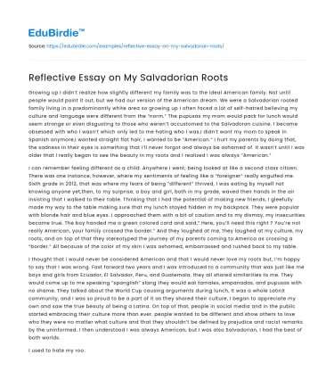 Reflective Essay on My Salvadorian Roots