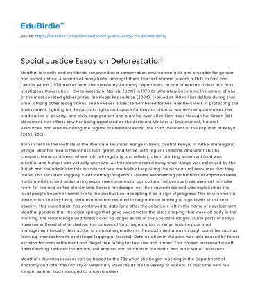 Social Justice Essay on Deforestation
