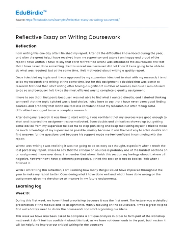 Reflective Essay on Writing Coursework