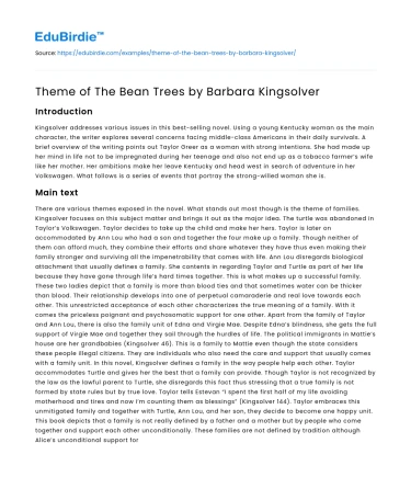 The Bean Trees by Barbara Kingsolver: Major Themes