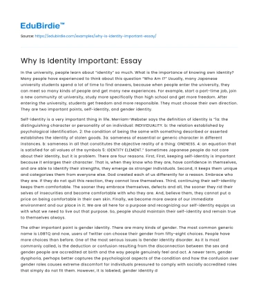 Why Is Identity Important: Essay