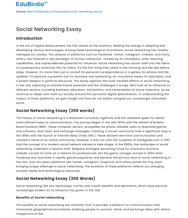 Social Networking Essay