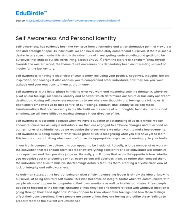 Self Awareness And Personal Identity