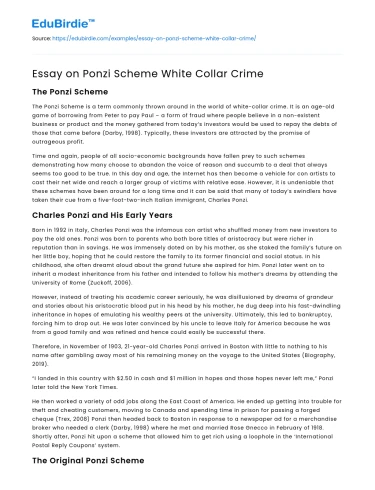 Essay on Ponzi Scheme White Collar Crime